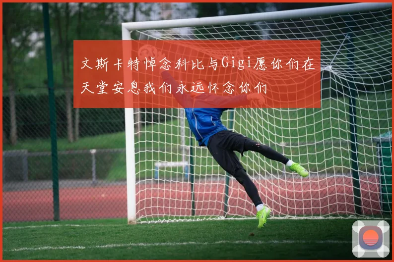 文斯卡特悼念科比与Gigi愿你们在天堂安息我们永远怀念你们