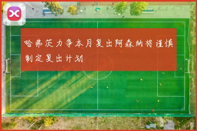 哈弗茨力争本月复出阿森纳将谨慎制定复出计划