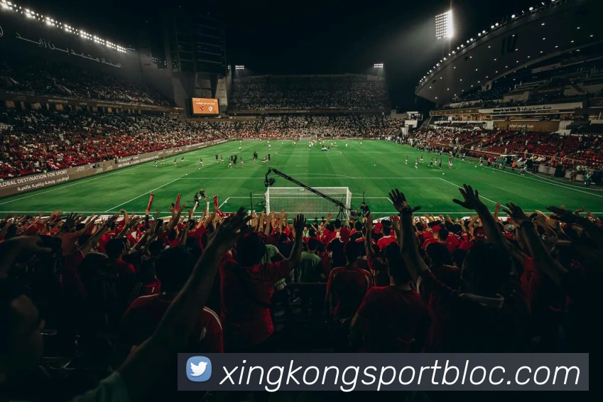 星空足球平台生态图