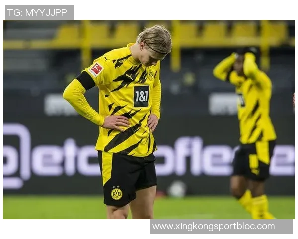 闪耀哥再度助攻海于格破门两人默契配合撕裂多特防线